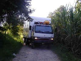 tamosopo squeeze.jpg (73561 bytes)