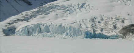 Bear Glacier Panorama.jpg (22984 bytes)