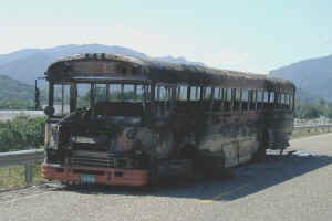 burned bus.jpg (64002 bytes)