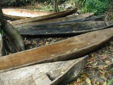 dugout canoes.jpg (95133 bytes)