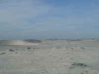 dunes.JPG (345910 bytes)