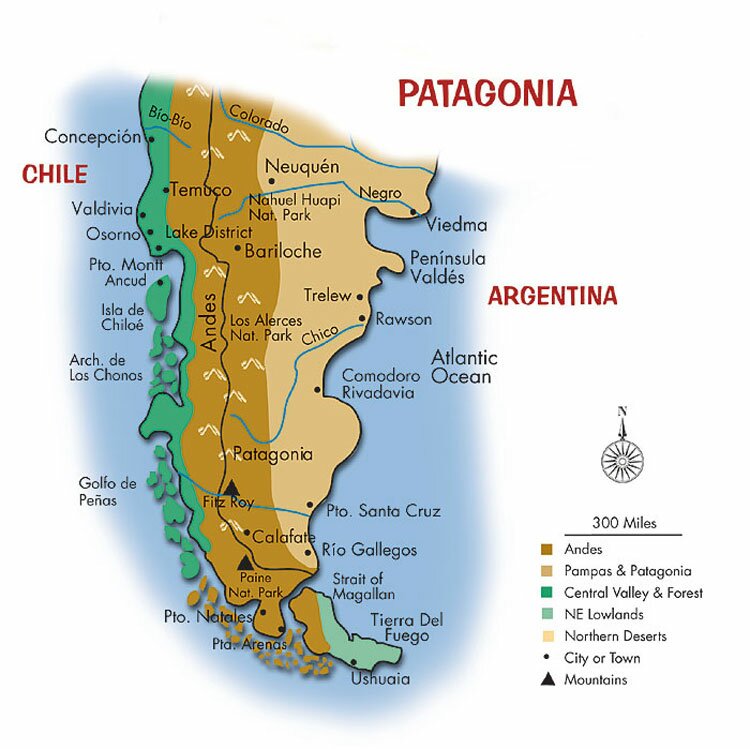 creacion de la coordinadora regional patagonia