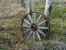 selkirk wheel.jpg (145140 bytes)