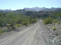 ALF in Sierra Gigante.JPG (404136 bytes)