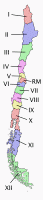 ChileRegions.png (16997 bytes)