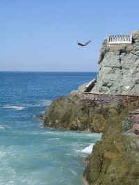 Cliffdiver.jpg (67039 bytes)