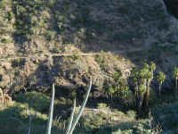 El Camino Real.JPG (438024 bytes)