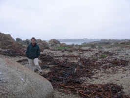 El_Quisco_beach.jpg (76155 bytes)