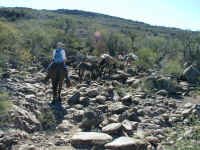 Flat trail.JPG (416625 bytes)