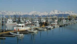 Homer harbor.jpg (90516 bytes)