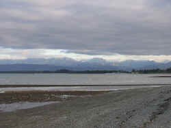 Marlborough_sounds1.jpg (53496 bytes)