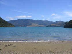 Marlborough_sounds.jpg (60924 bytes)