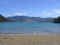 Nikau_camp.jpg (60924 bytes)