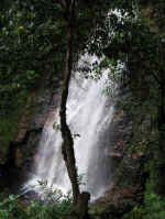 Salto_el_danto.jpg (71679 bytes)