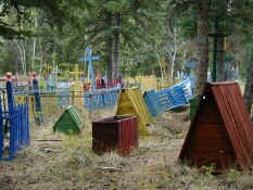 Selkirk spirit houses.jpg (121858 bytes)