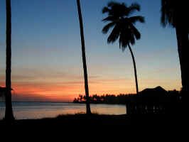 Teacapan sunset.jpg (33915 bytes)