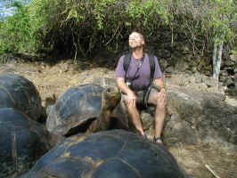 Tortoise_don.jpg (113025 bytes)