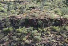 Virgin shrine.jpg (323468 bytes)