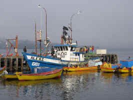 ancud_fishermen.jpg (69055 bytes)