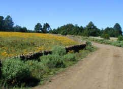 backroads.jpg (41897 bytes)