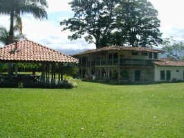 bambusa_camp1.jpg (113112 bytes)