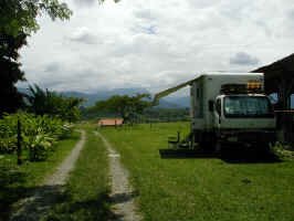 bambusa_camp.jpg (75292 bytes)