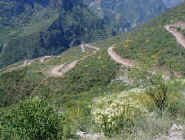 batopilas road.jpg (68777 bytes)