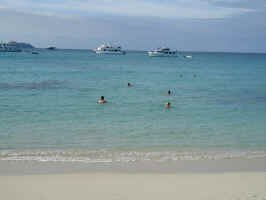 beach_swim.jpg (43394 bytes)
