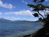 beagle_channel_view.jpg (73416 bytes)