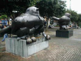 bird_of_peace.jpg (87025 bytes)