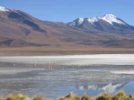 bol_hi_andes1.jpg (54223 bytes)