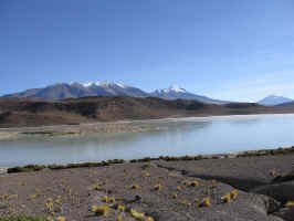 bol_hi_andes3.jpg (59784 bytes)