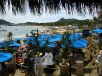 cabo beach zoo1.JPG (409745 bytes)