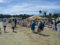 cabo beach zoo.JPG (377234 bytes)