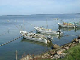 camp_boats.JPG (62080 bytes)