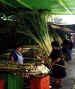 cane buying.jpg (101240 bytes)