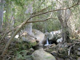 canyon_lunch_spost.jpg (139411 bytes)
