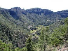 canyon view.jpg (63194 bytes)