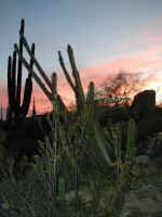 catavina sunset1.JPG (383089 bytes)