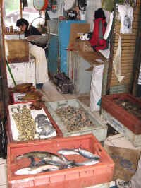 chiloe_mkt_3.jpg (100360 bytes)