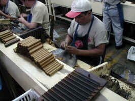 cigars1.JPG (75080 bytes)