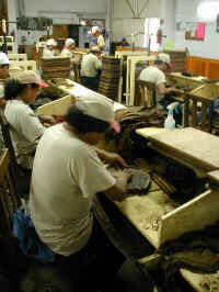 cigars4.JPG (66330 bytes)