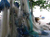 copa_fishing_nets.jpg (99179 bytes)