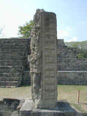 copan_s1b.jpg (45671 bytes)