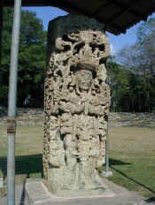 copan_st1.jpg (61983 bytes)