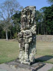 copan_st2.jpg (68062 bytes)