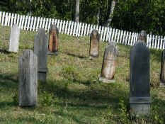 dc cemetery.jpg (116645 bytes)