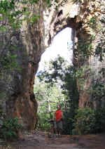 don_arch.jpg (116736 bytes)