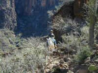 don on trail.JPG (441117 bytes)