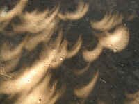 eclipse_crescents1.jpg (81809 bytes)